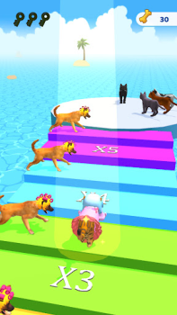 Baixar Cats run 3D Simuladores para Android captura de tela 7