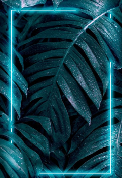 Baixar Samsung Galaxy S23 Ultra Entretenimento para Android captura de tela 4