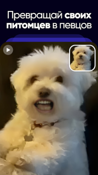 Baixar Revive: Animar e editar fotos Entretenimento para Android captura de tela 5
