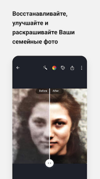 Baixar MyHeritage: Árvore genealógica Livros e Referências para Android captura de tela 6