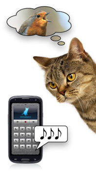 Baixar Vozes felinas - brinque com se Entretenimento para Android captura de tela 3