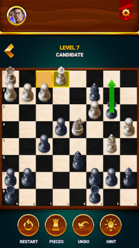Baixar Xadrez – jogo offline Educacional para Android captura de tela 5
