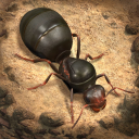 Baixar  The Ants: Underground Kingdom