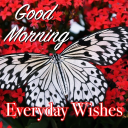 Baixar  Bom dia saudação diária