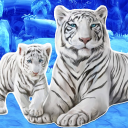 Baixar  jogo do tigre