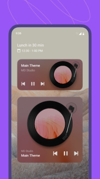 Baixar MD Vinyl - Leitor de Música Música e áudio para Android captura de tela 5