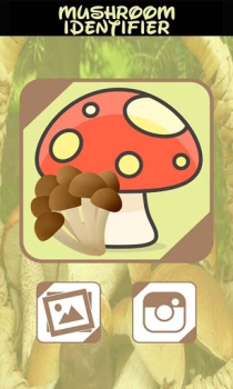 Baixar Identificador de cogumelos Entretenimento para Android captura de tela 2