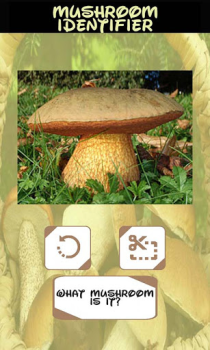 Baixar Identificador de cogumelos Entretenimento para Android captura de tela 3