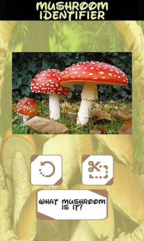 Baixar Identificador de cogumelos Entretenimento para Android captura de tela 6