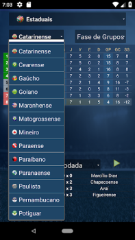 Baixar Brasfoot Jogos de esporte para Android captura de tela 6
