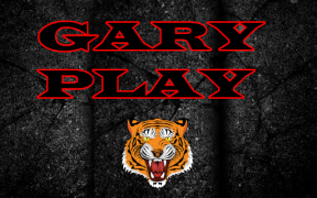 Baixar Gary play Entretenimento para Android captura de tela 6