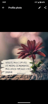 Baixar Wa HD fotos de perfil Ferramentas para Android captura de tela 6