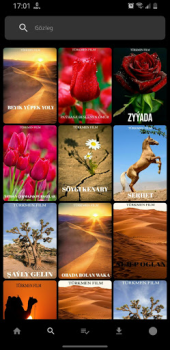 Baixar Belet Film Entretenimento para Android captura de tela 4