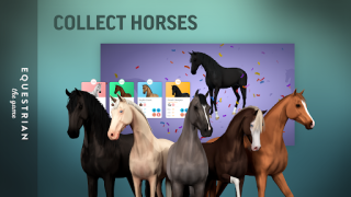 Baixar Equestrian the Game Simuladores para Android captura de tela 7