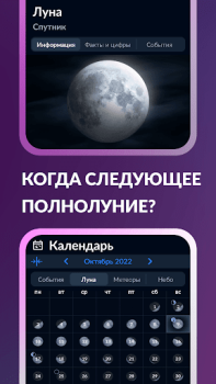 Baixar Sky Tonight: Estrelas no Céu Livros e Referências para Android captura de tela 5
