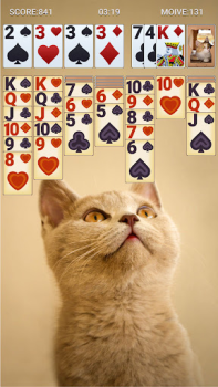 Baixar Solitaire Classic Jogos de tabuleiro para Android captura de tela 6