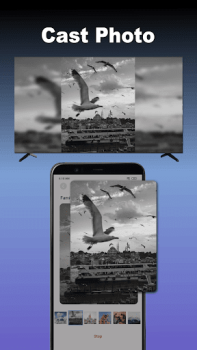 Baixar Espelhamento de tela para TV Editores e Reprodutores de Vídeo para Android captura de tela 5