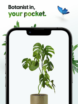 Baixar Plant App - Localizador Planta Educação para Android captura de tela 7