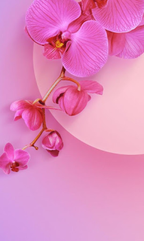 Baixar Theme for Xiaomi Mi A3 Personalização para Android captura de tela 6