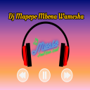 Baixar  DJ Mapopo mbona Syalala Remix