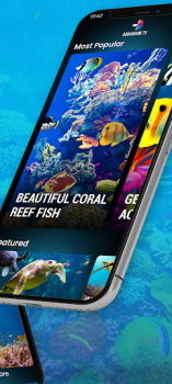 Baixar Aquariums TV Foto para Android captura de tela 3