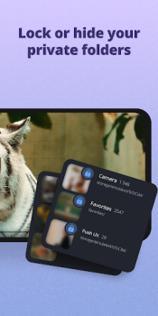 Baixar Galeria de fotografias, vídeos Foto para Android captura de tela 5