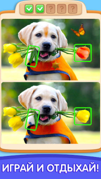 Baixar Can You Spot It: Differences Quebra-cabeças para Android captura de tela 3