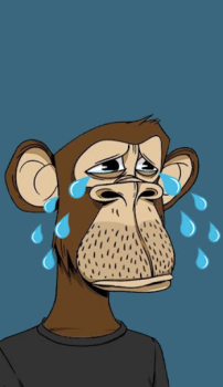 Baixar Monkey NFT Personalização para Android captura de tela 3