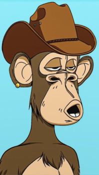 Baixar Monkey NFT Personalização para Android captura de tela 6