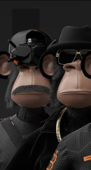 Baixar Monkey NFT Personalização para Android captura de tela 7