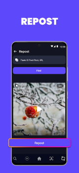 Baixar Luyo - Analytics for Instagram Social para Android captura de tela 5