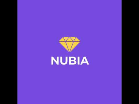 Baixar Nubia Emprego para Android captura de tela 8