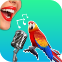 Baixar  Bird Translator Simulator App