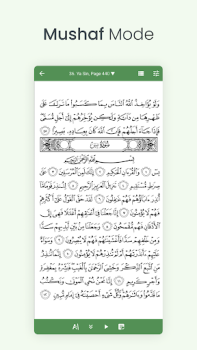 Baixar Al Quran (Tafsir & by Word) Livros e Referências para Android captura de tela 3