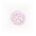 Baixar  白菜VPN:梯子 科学上网无限流量快速安全的VPN