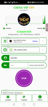 Baixar CHINA VIP VPN Ferramentas para Android captura de tela 7