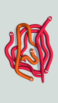 Baixar Tangled Snakes Quebra-cabeças para Android captura de tela 6