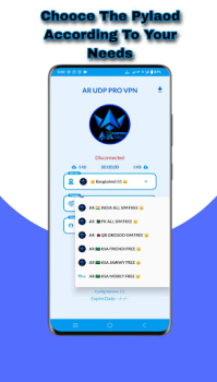 Baixar AR UDP PRO VPN Ferramentas para Android captura de tela 3