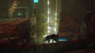 Baixar Stray Cat Simulator Mobile Simuladores para Android captura de tela 2
