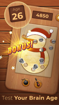 Baixar Madeira Puzzle Porca Parafuso Quebra-cabeças para Android captura de tela 3