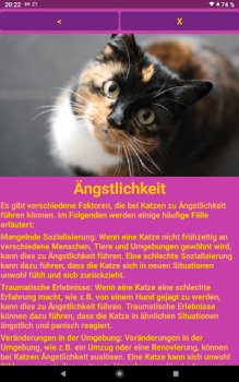 Baixar Katzen Clicker Training Light Habitação e casa para Android captura de tela 7