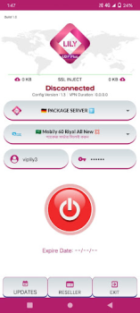 Baixar Lily UDP Plus - High Speed Ferramentas para Android captura de tela 2