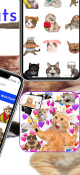 Baixar memes Adesivos Gatos Contato para Android captura de tela 4
