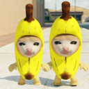 Baixar  Banana Cat