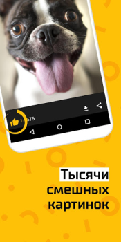 Baixar АйДаПрикол Entretenimento para Android captura de tela 2