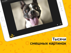 Baixar АйДаПрикол Entretenimento para Android captura de tela 6