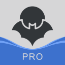 Baixar  HaloVPN Pro: Fast VPN Proxy