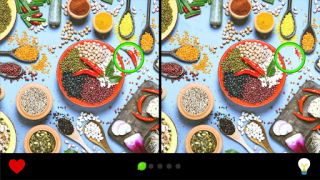 Baixar Encontre a Diferença 1000+ Quebra-cabeças para Android captura de tela 7