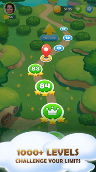 Baixar Skip-Bo Jogos de tabuleiro para Android captura de tela 4