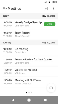 Webex Meetings